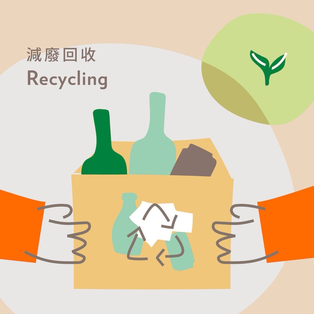 Eco-Friendly Recycling Rewards | Daily NF Seed Collection